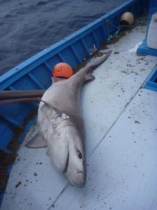 282982_10200305636226579_956510300_n