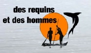 Des requins et des hommes