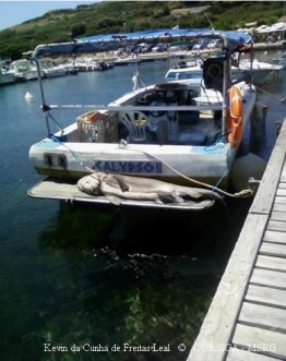 Griset Cargèse 2013