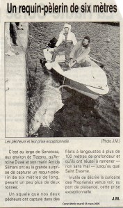 Pèlerin Tizzano mars 2005 in Corse-Matin