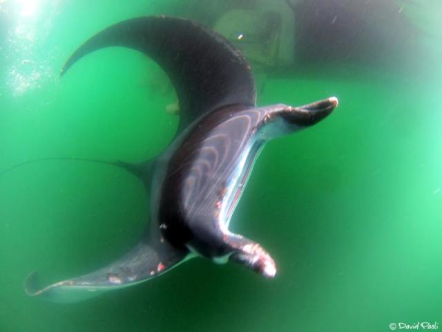 20 juin, vers 11 h, 3