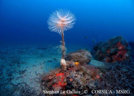 20 07 2013 a, sur fond de 41 m