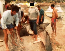 2105 recadree, retouchée