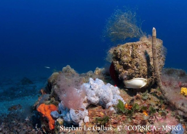 S. Stellaris Santa Severa 20 07 2013 2a avec marquage