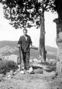 Galeria Chasse perdreau requin (1)